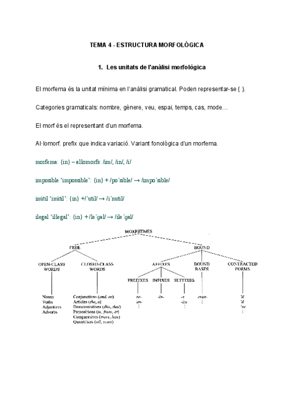Miniatura del documento TEMA-4-ESTRUCTURA-MORFOLOGICA.pdf