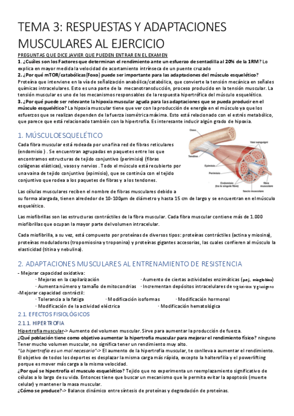 Miniatura del documento FEII.pdf