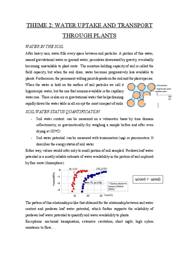 Miniatura del documento Theme-2.pdf