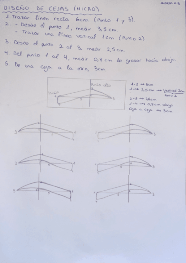 Miniatura del documento PAUTAS-DISENO-DE-CEJAS.pdf