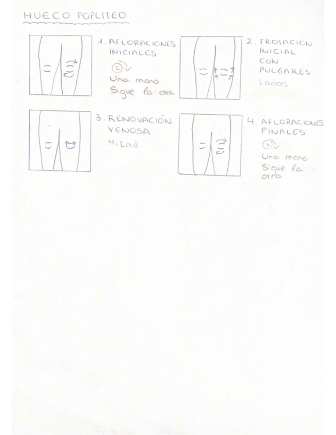 Miniatura del documento HUECO-POPLITEO.pdf