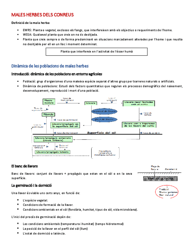 Miniatura del documento MALES-HERBES-APUNTS.pdf