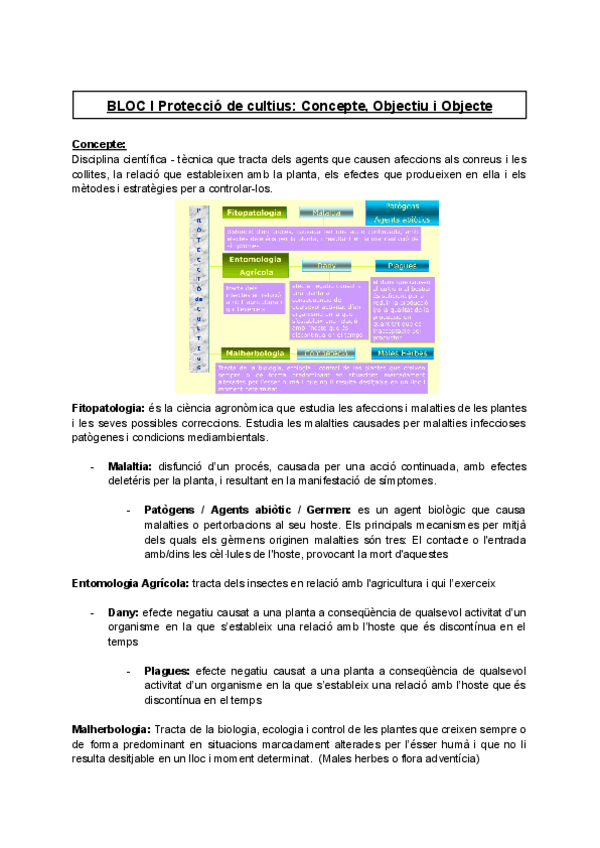 Miniatura del documento APUNTS-.pdf