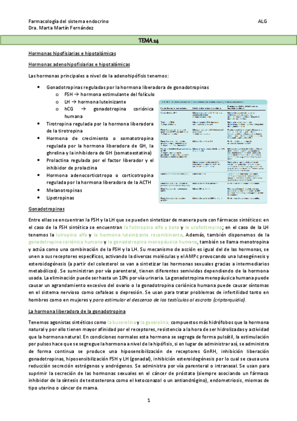 Miniatura del documento TEMA-24.pdf