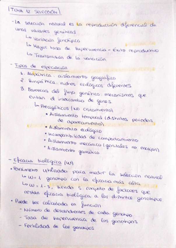 Miniatura del documento Resumen Tema 12 - Selección