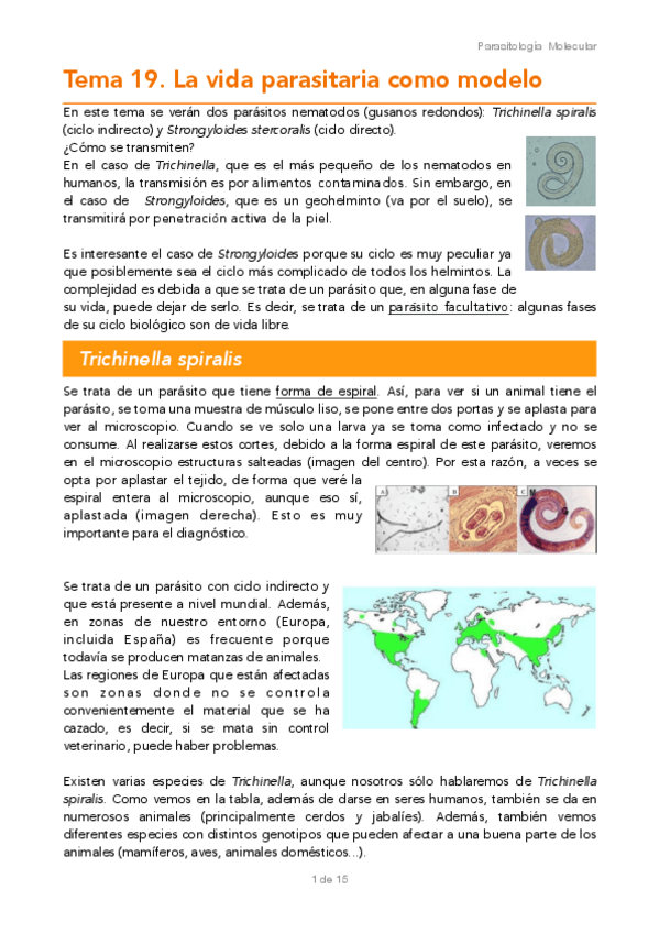 Miniatura del documento TEMA-19.pdf