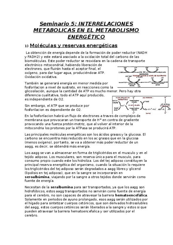 Miniatura del documento seminario 5.docx