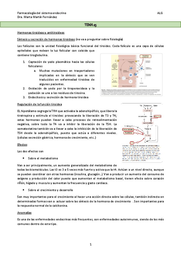 Miniatura del documento TEMA-25.pdf