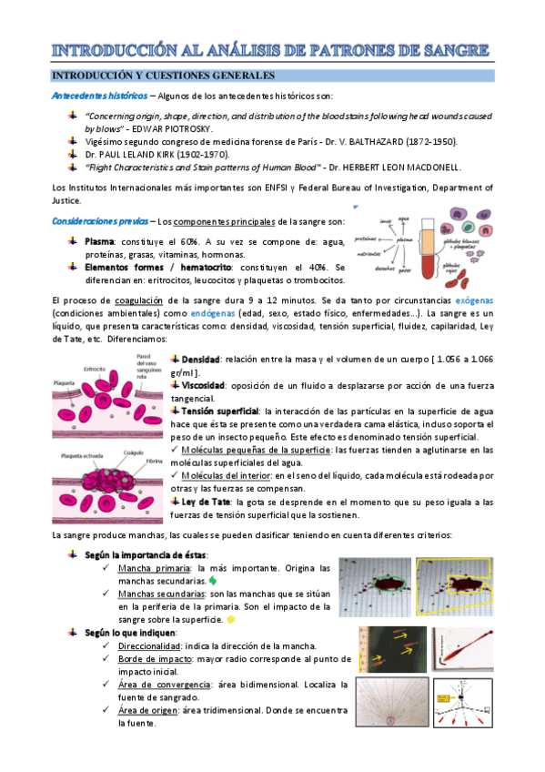 Miniatura del documento T11.pdf