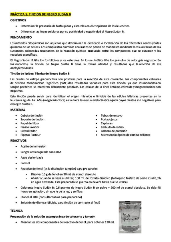 Miniatura del documento Practica.pdf