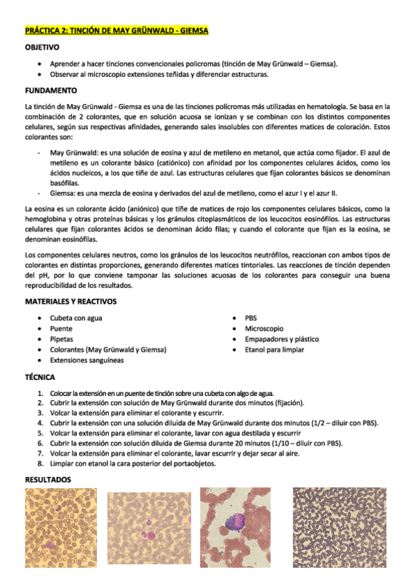 Miniatura del documento Practica.pdf