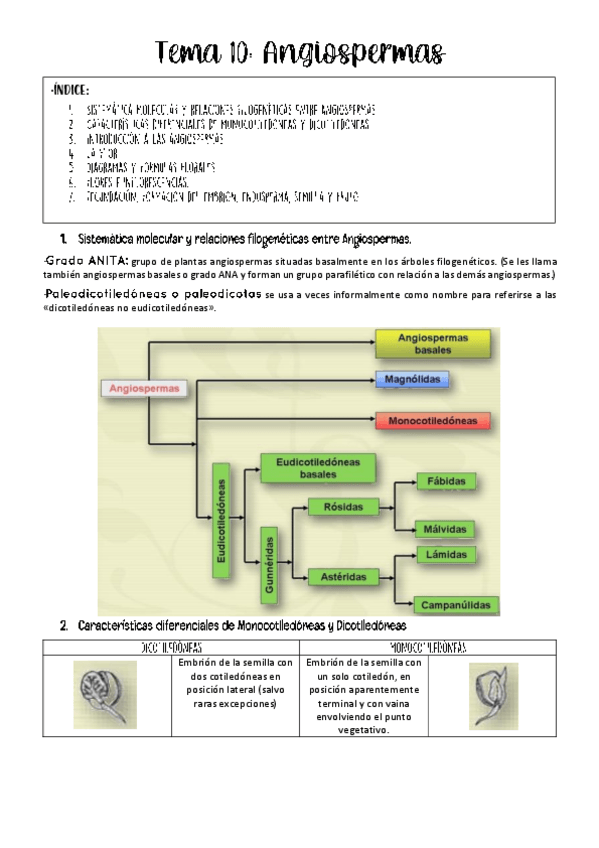 Miniatura del documento Tema-10-botanica.pdf