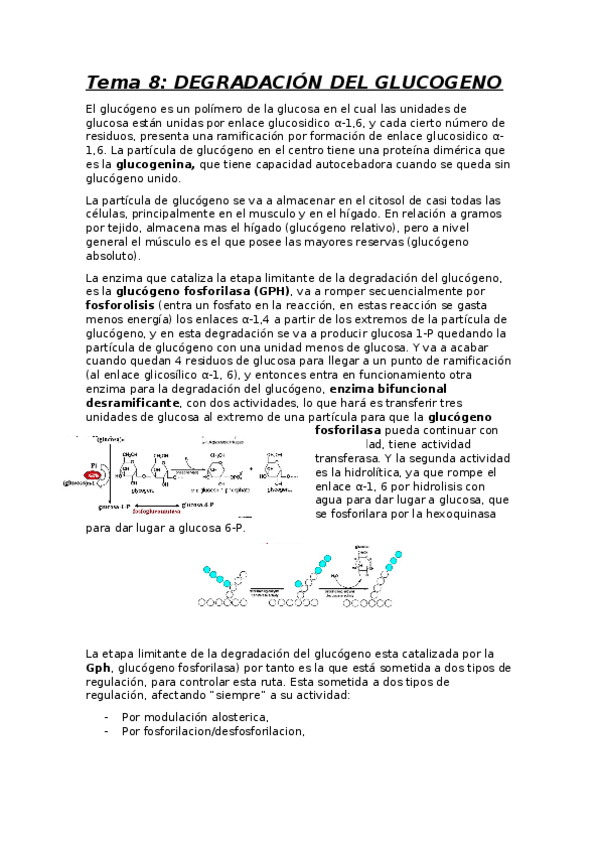 Miniatura del documento Tema 8.docx