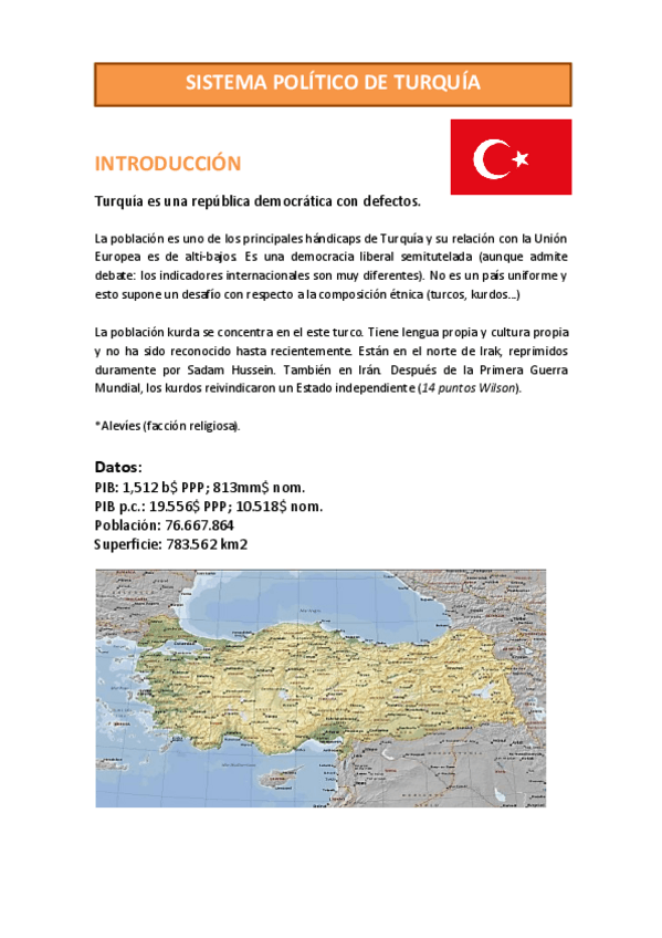 Miniatura del documento SISTEMA POLÍTICO DE TURQUÍA.pdf