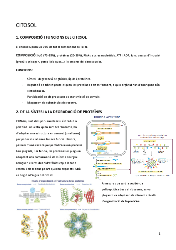 Miniatura del documento 5-citosol.pdf