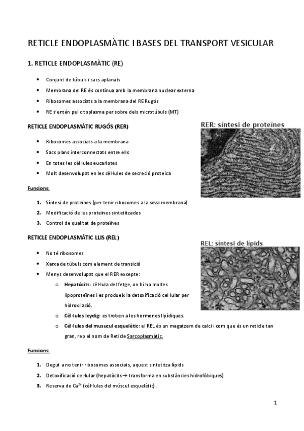 Miniatura del documento 6-Reticle.pdf