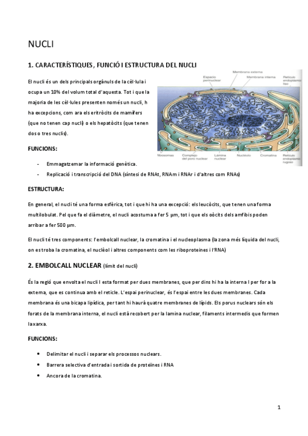 Miniatura del documento 4-nucli.pdf