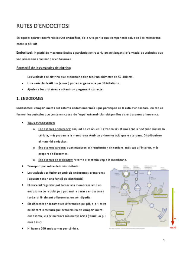 Miniatura del documento 8-rutes.pdf