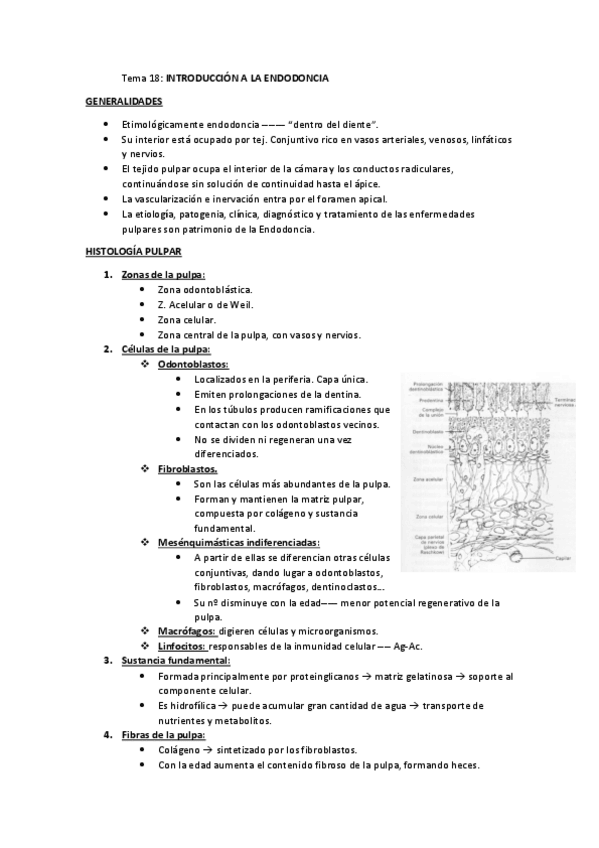 Miniatura del documento Tema-18.pdf