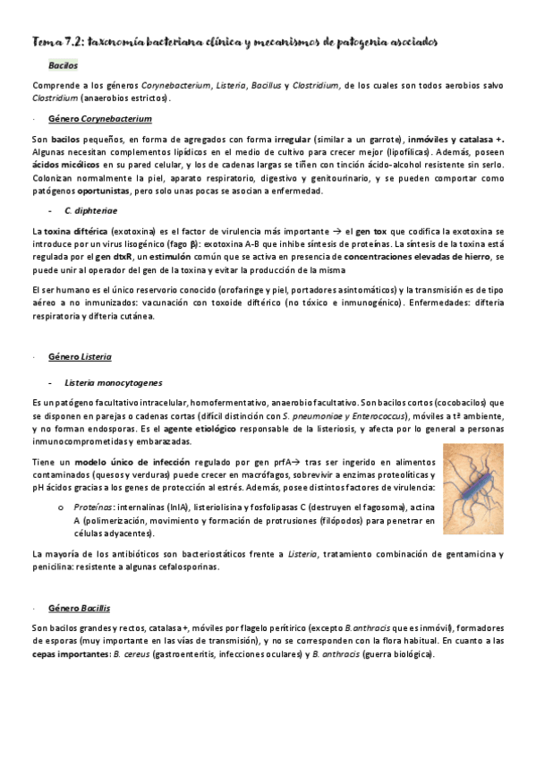 Miniatura del documento Micromed-T7-desde-primer-parcial.pdf