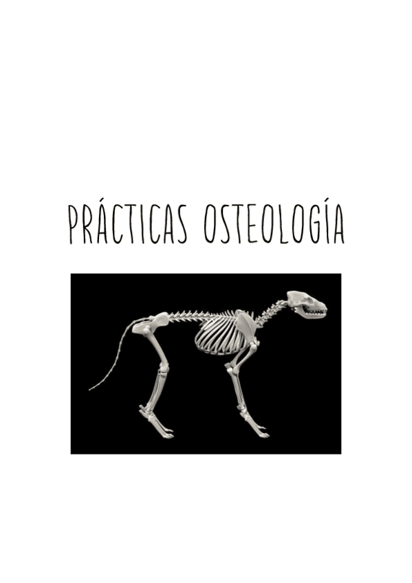 Miniatura del documento Practicas-osteología.pdf