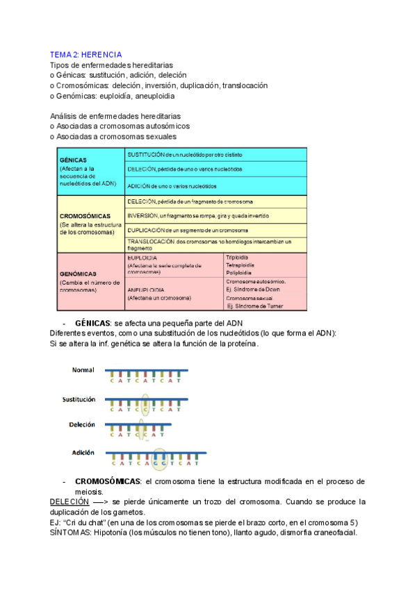 Miniatura del documento HERENCIA.pdf