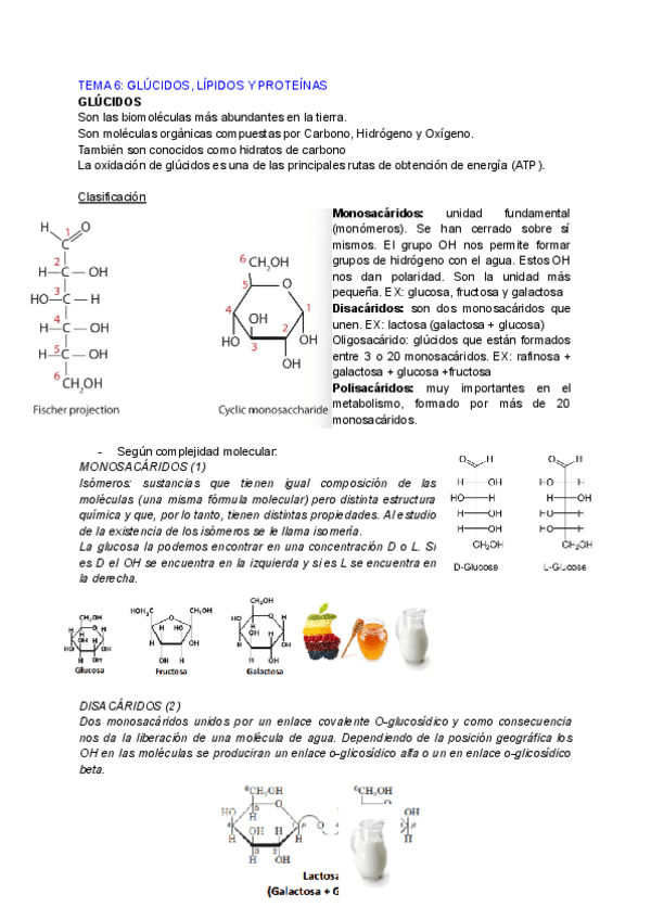 Miniatura del documento GLUCIDOS-LIPIDOS-Y-PROTEINAS.pdf