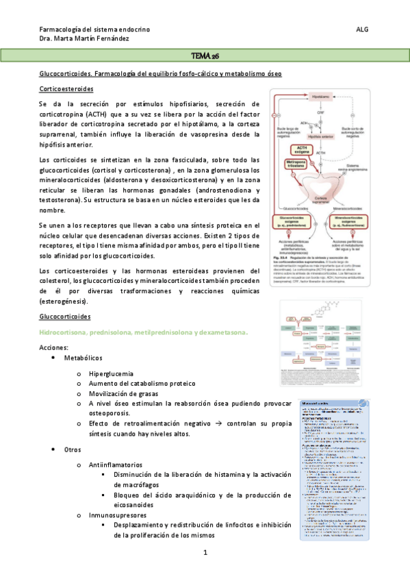 Miniatura del documento TEMA-26.pdf