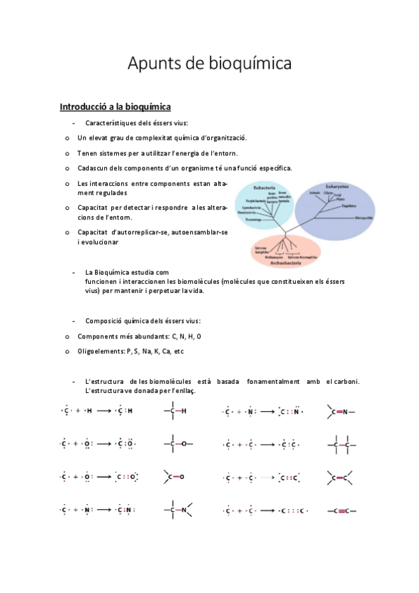 Miniatura del documento apunts-de-bioquimica.pdf