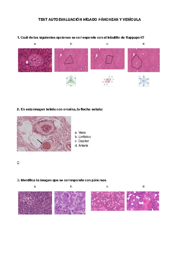 Miniatura del documento TEST-AUTOEVALUACION-HIGADO-PANCREAS-Y-VESICULA-.pdf