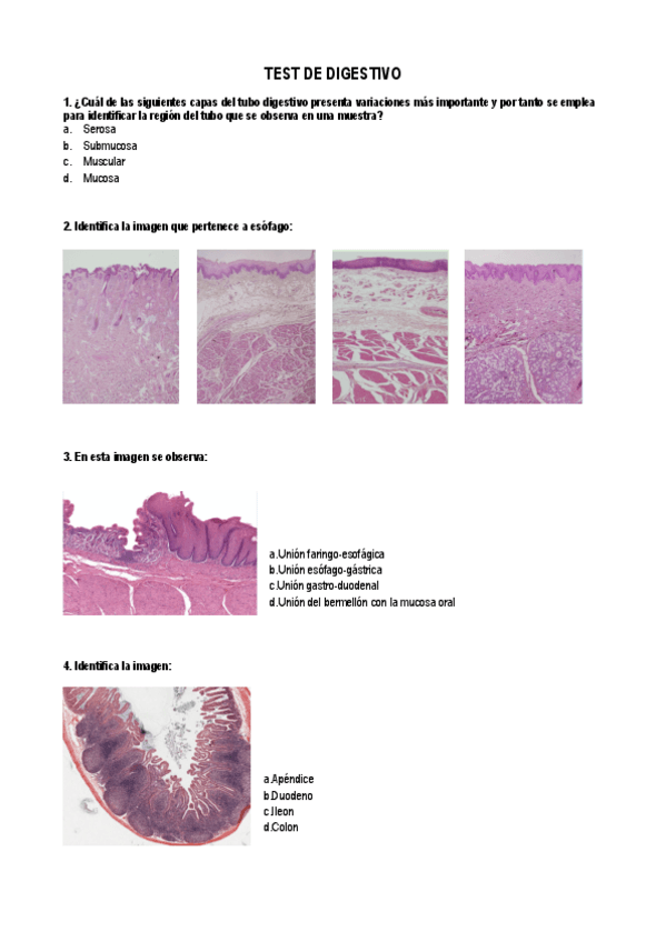 Miniatura del documento Test-.pdf