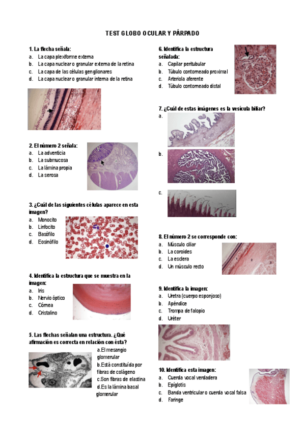 Miniatura del documento Test-ojo-urinario.pdf