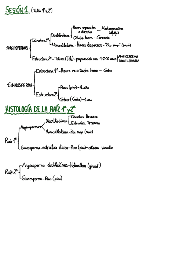 Miniatura del documento Biologia-Practica.pdf