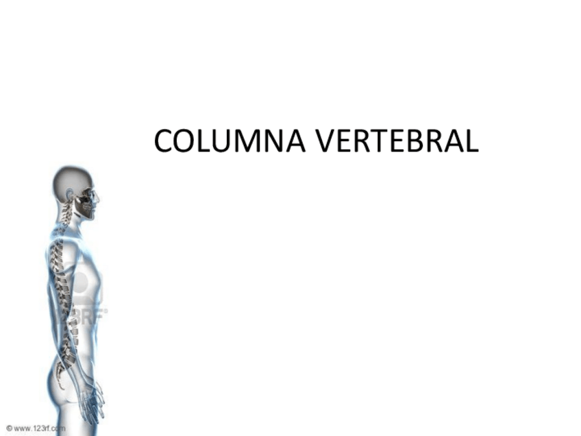 Miniatura del documento Columna-y-Tronco.pdf
