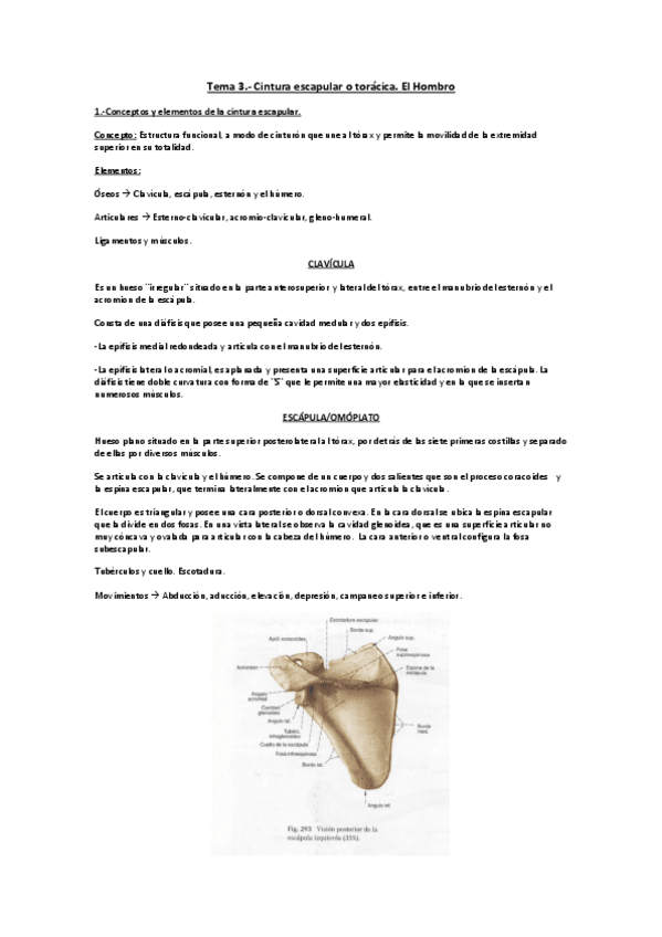Miniatura del documento T3.pdf