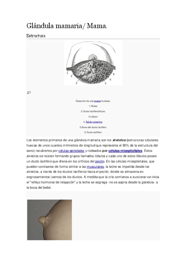 Miniatura del documento Nuevo-Documento-de-Microsoft-Office-Word.pdf