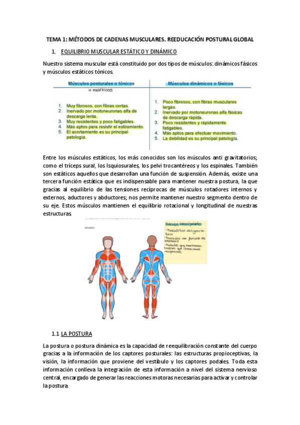 Miniatura del documento apuntes-tema-1-orges.pdf