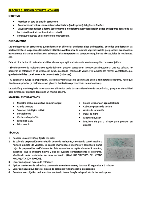 Miniatura del documento Practica.pdf