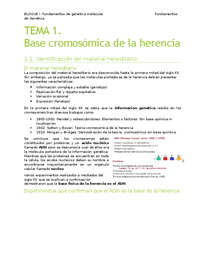 Miniatura del documento bloque1_genetica.pdf