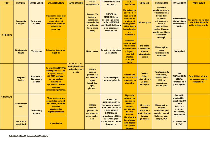 Miniatura del documento TABLAS-BUENO.pdf