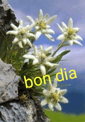 Miniatura del documento IMG-20221129-WA0003.jpg