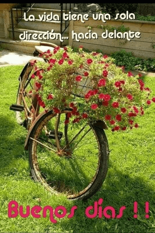 Miniatura del documento IMG-20221129-WA0000.jpg