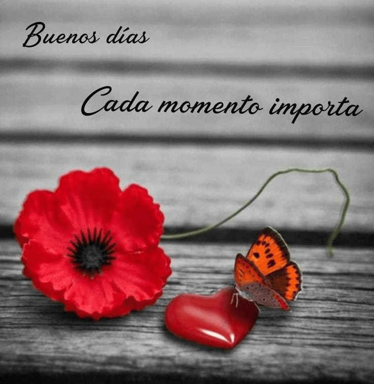 Miniatura del documento IMG-20221129-WA0004.jpg