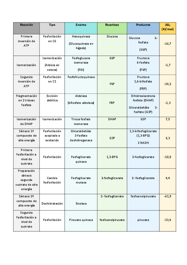 Miniatura del documento Tabla-glucolisis.pdf