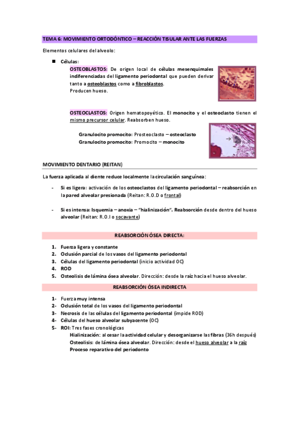 Miniatura del documento Tema-6-ortodoncia.pdf