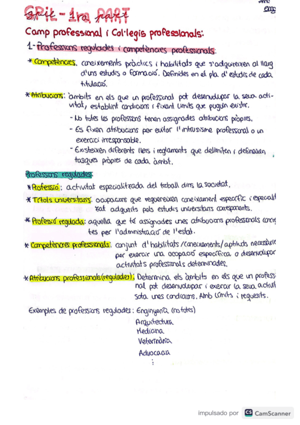 Miniatura del documento Gpilresum1.pdf