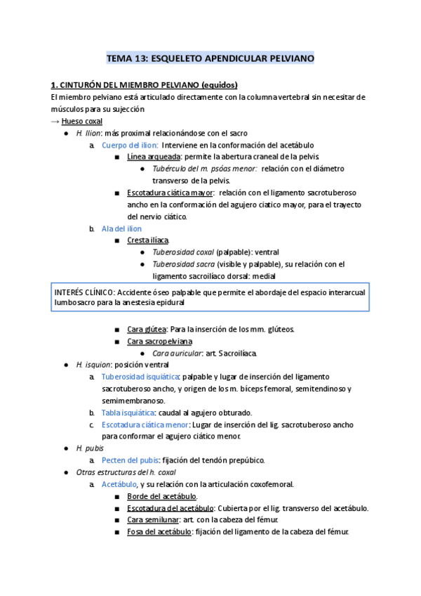 Miniatura del documento TEMA-13-ESQUELETO-APENDICULAR-PELVIANO-1.pdf
