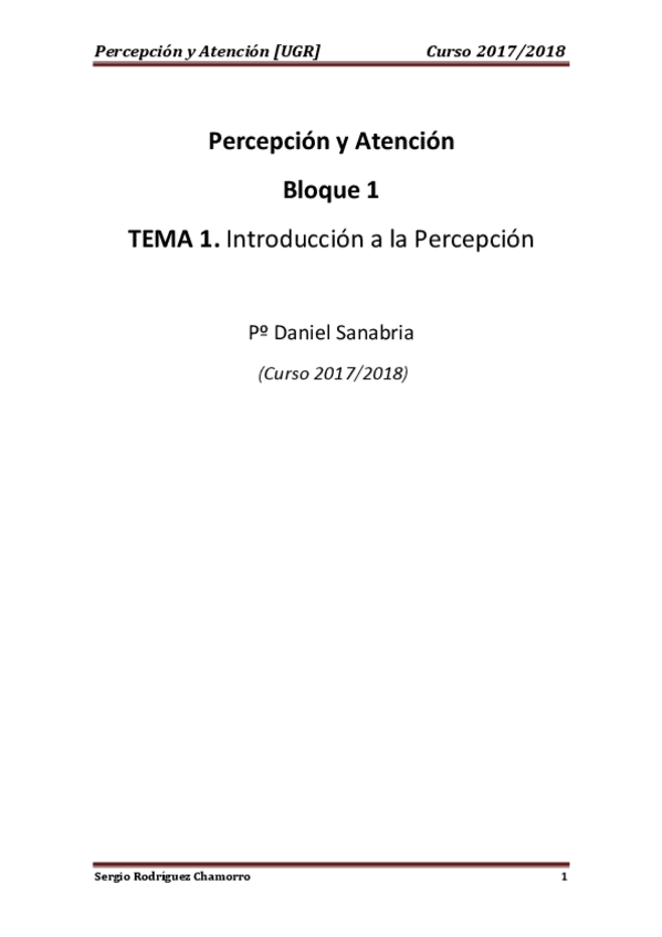 Miniatura del documento TEMA 1 Percepción.pdf