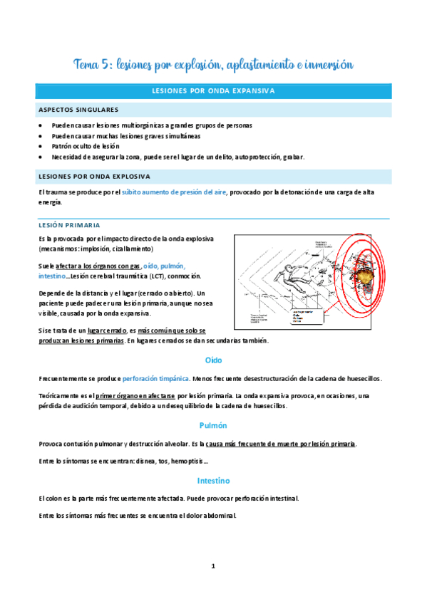 Miniatura del documento Tema-5-apuntes.pdf