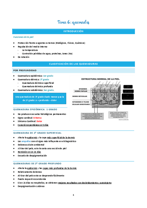 Miniatura del documento Tema-6-urgencias.pdf